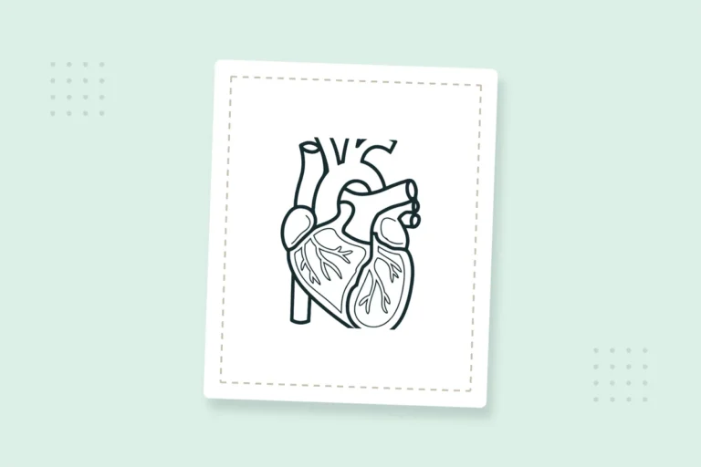 Human Body Coloring Pages: 20 Free Printable PDFs — printable coloring page preview