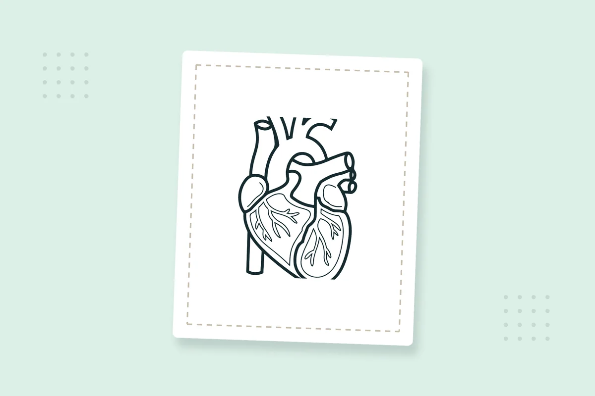 Human Body Coloring Pages: 20 Free Printable PDFs — printable coloring page preview
