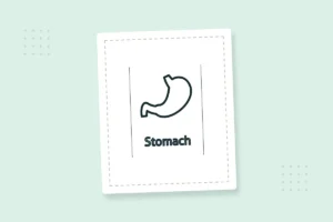 Human Body Parts Coloring Pages: 20 Free Printable PDFs — printable coloring page preview