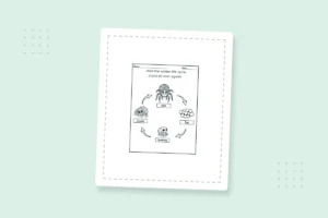 Kindergarten Spider Life Cycle Coloring Pages: 21 Free PDFs — printable coloring page preview