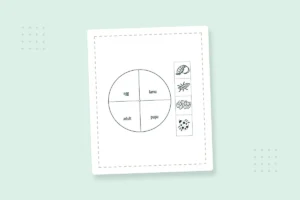 Ladybug Life Cycle Coloring Pages: 13 Free Printable PDFs — printable coloring page preview