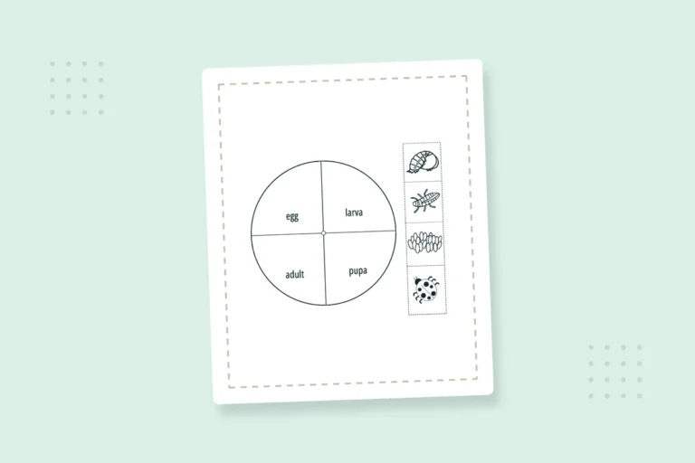 Ladybug Life Cycle Coloring Pages: 13 Free Printable PDFs — printable coloring page preview