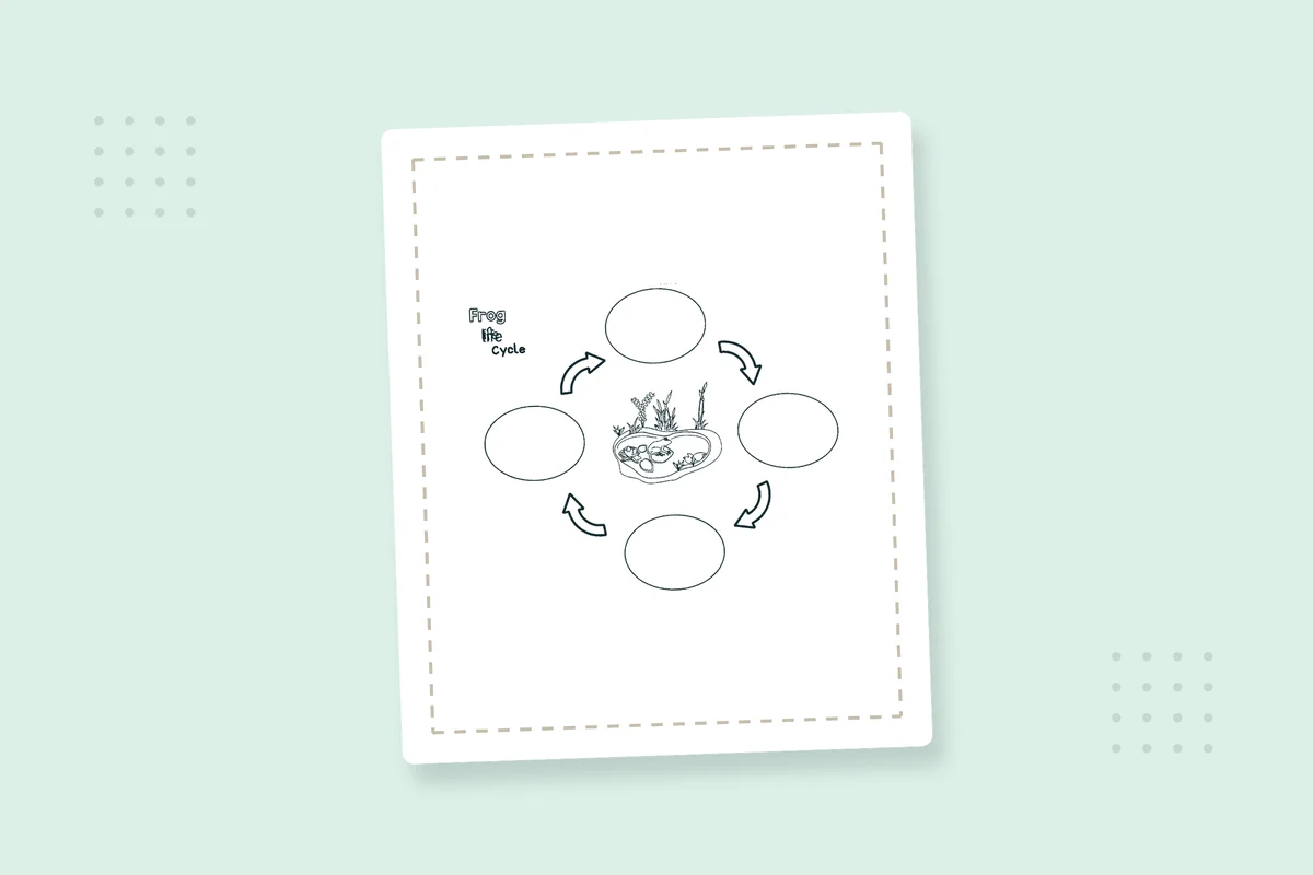 Life Cycle of a Frog Coloring Pages: 8 Free Printable PDFs — printable coloring page preview