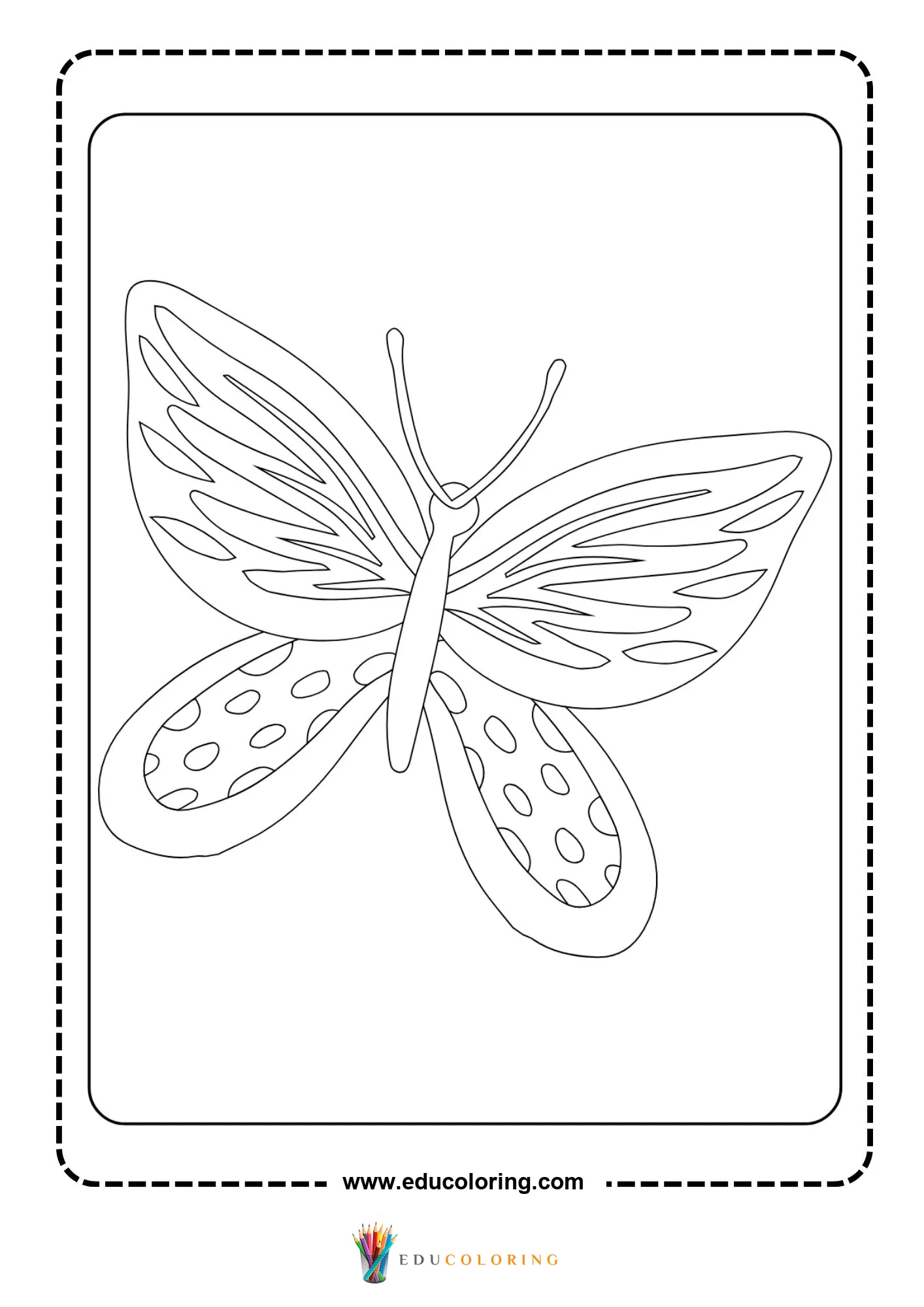 Detailed butterfly with elaborate eyespots