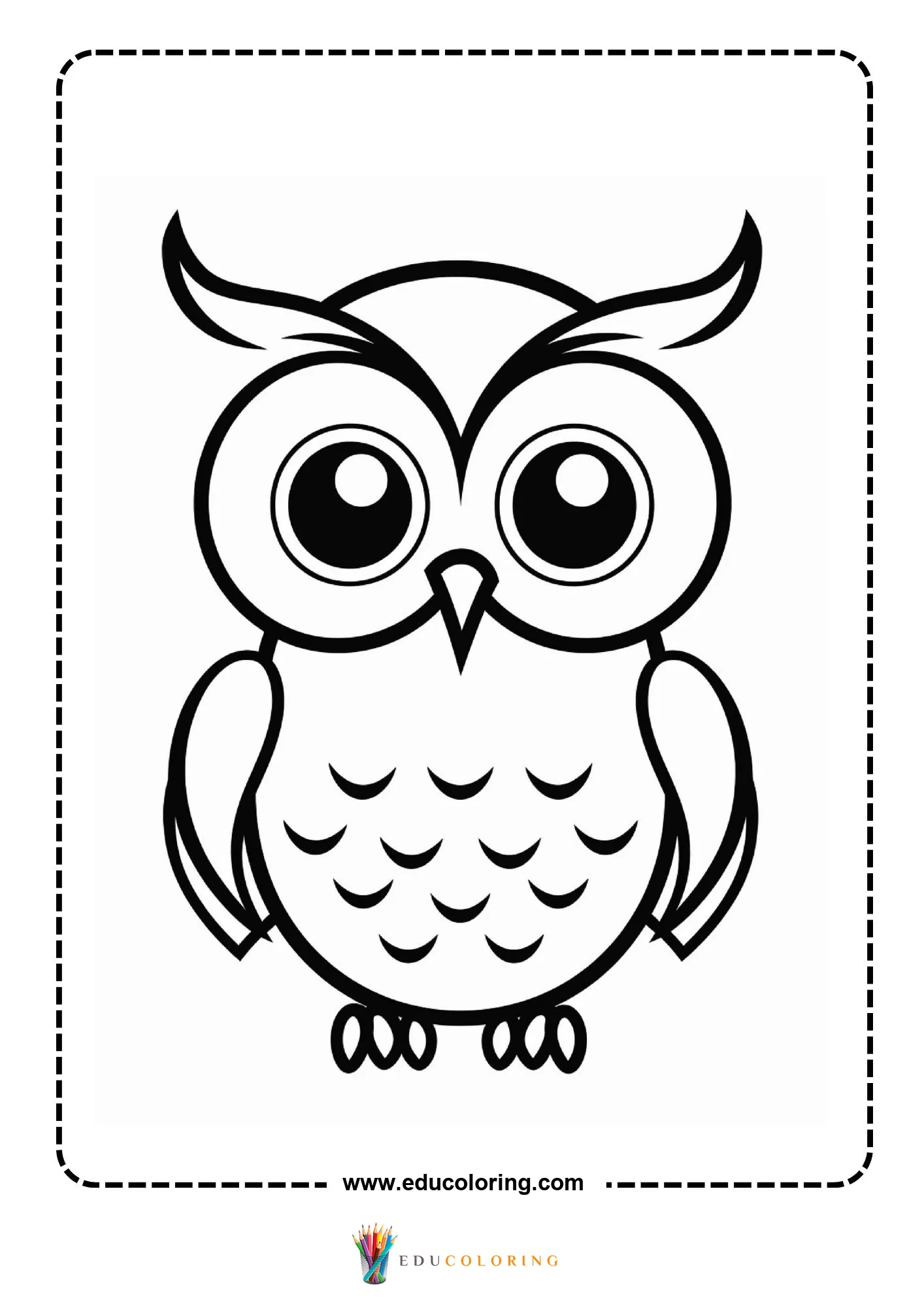 Cute bold owl with round eyes and feather chest