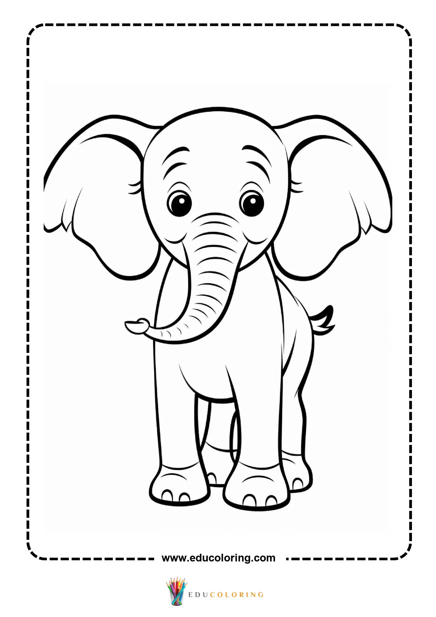 Baby elephant standing facing forward with ears spread