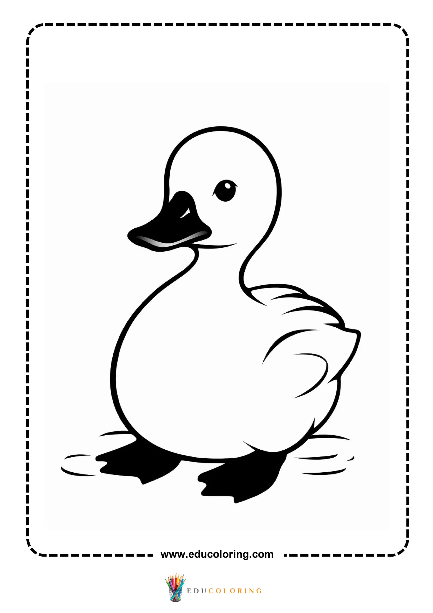 Round baby duckling standing with bold black feet