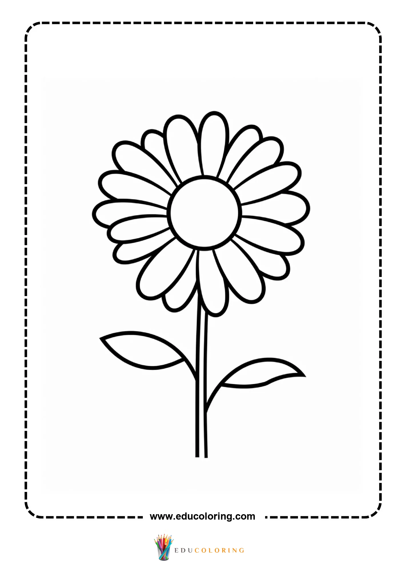 Large daisy with many petals on stem with two leaves