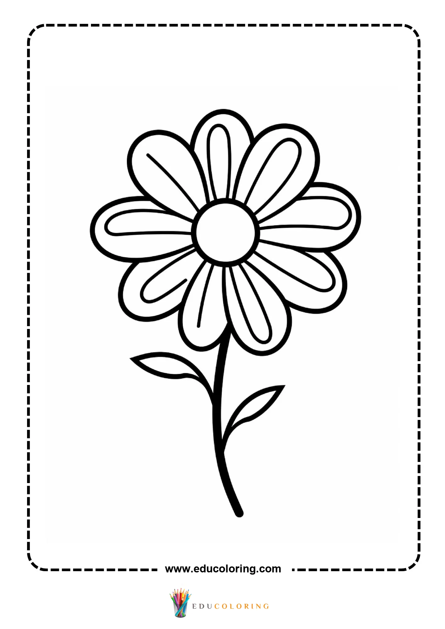 Daisy flower with oval petals on stem with two leaves