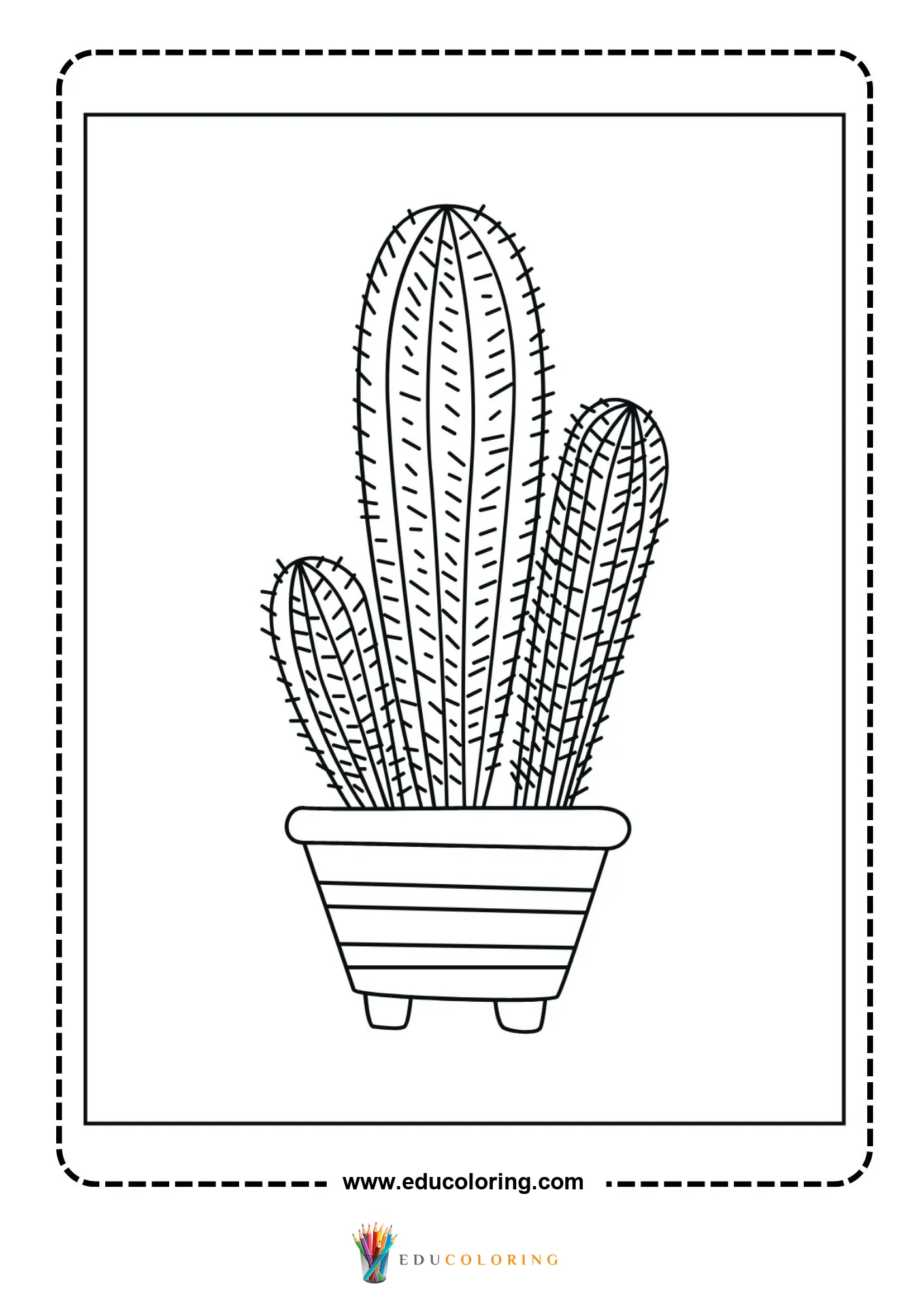 Flowering cactus cluster in patterned pot