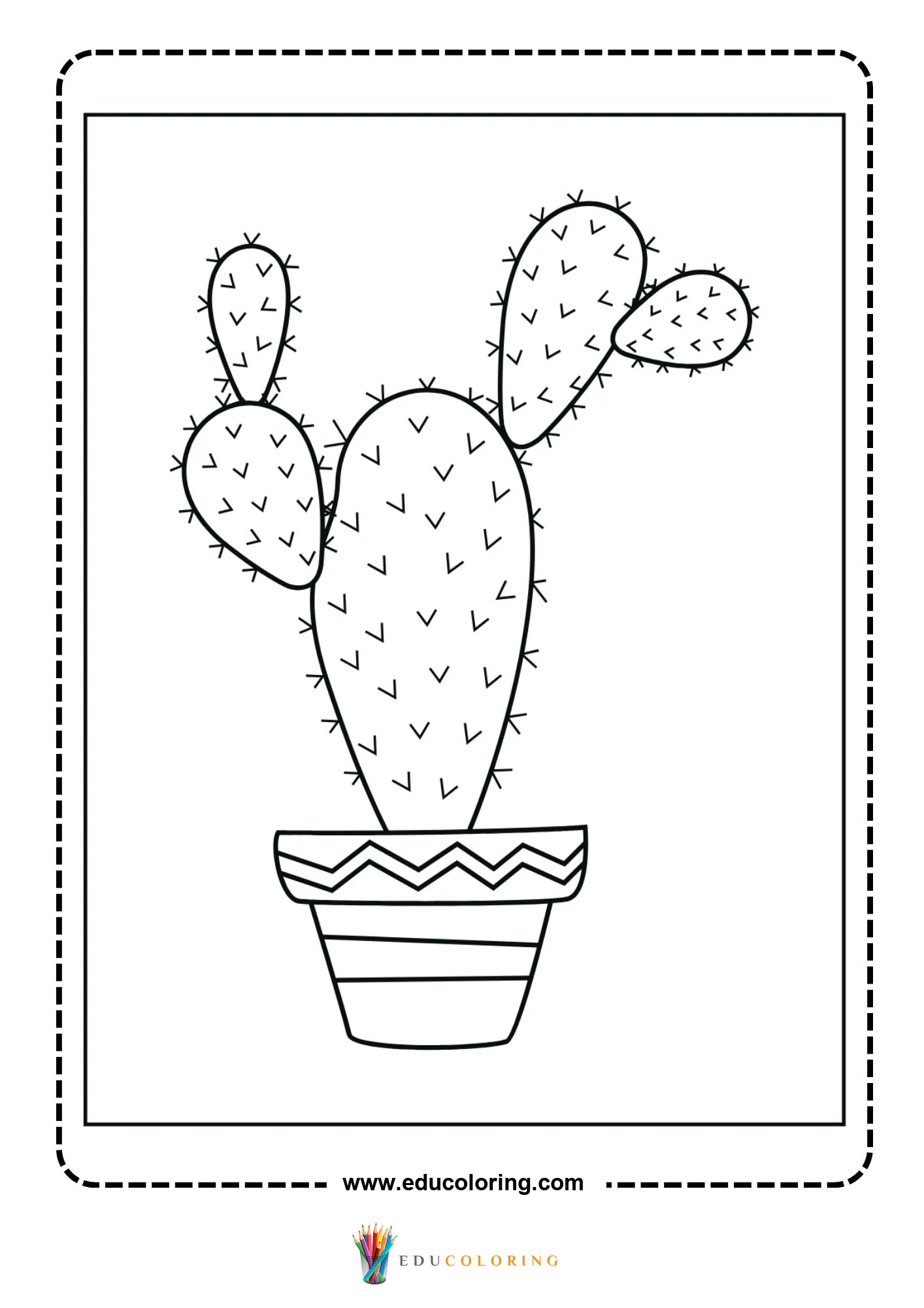Round cactus in scalloped planter