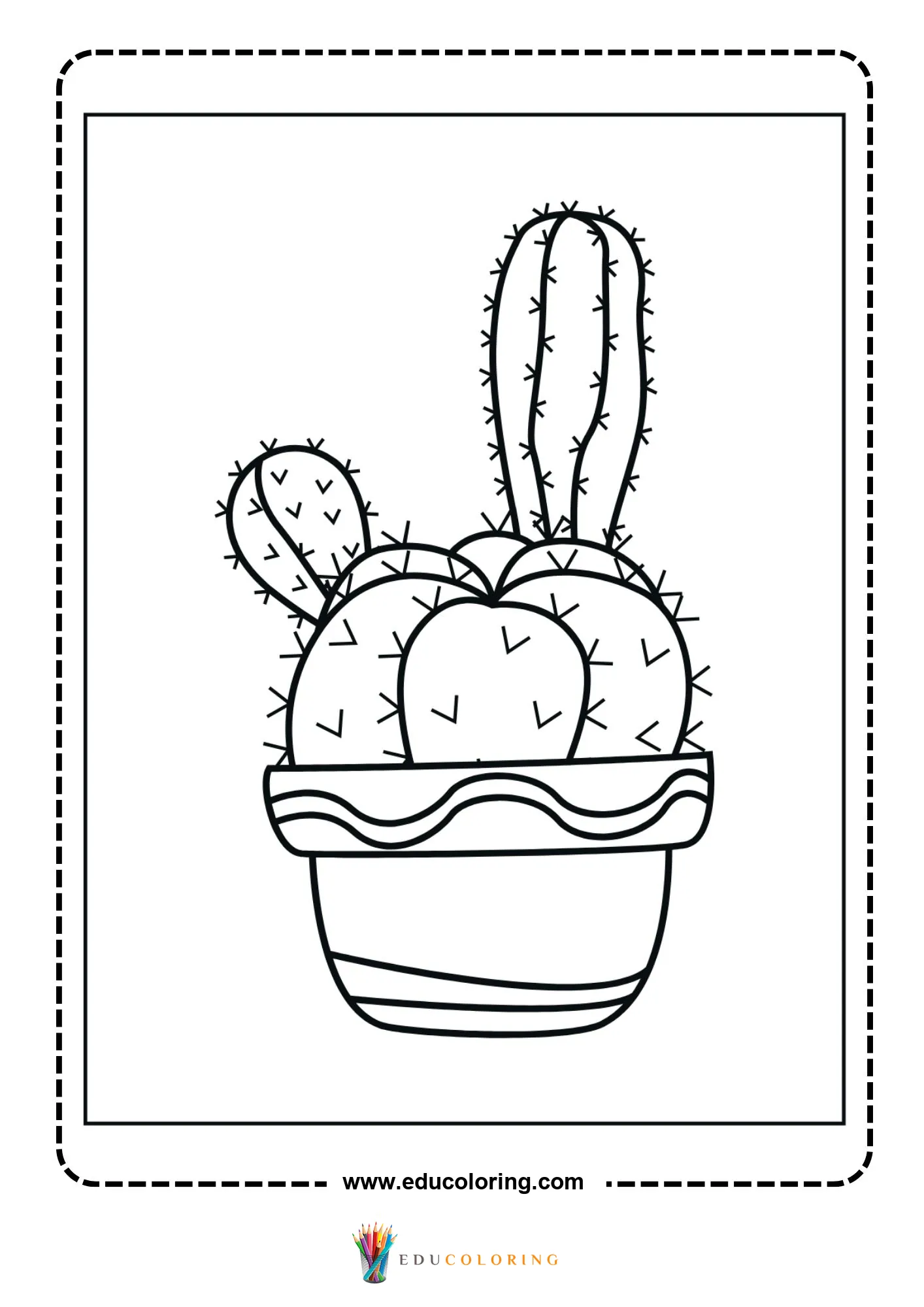 Mixed cactus planter with round pads