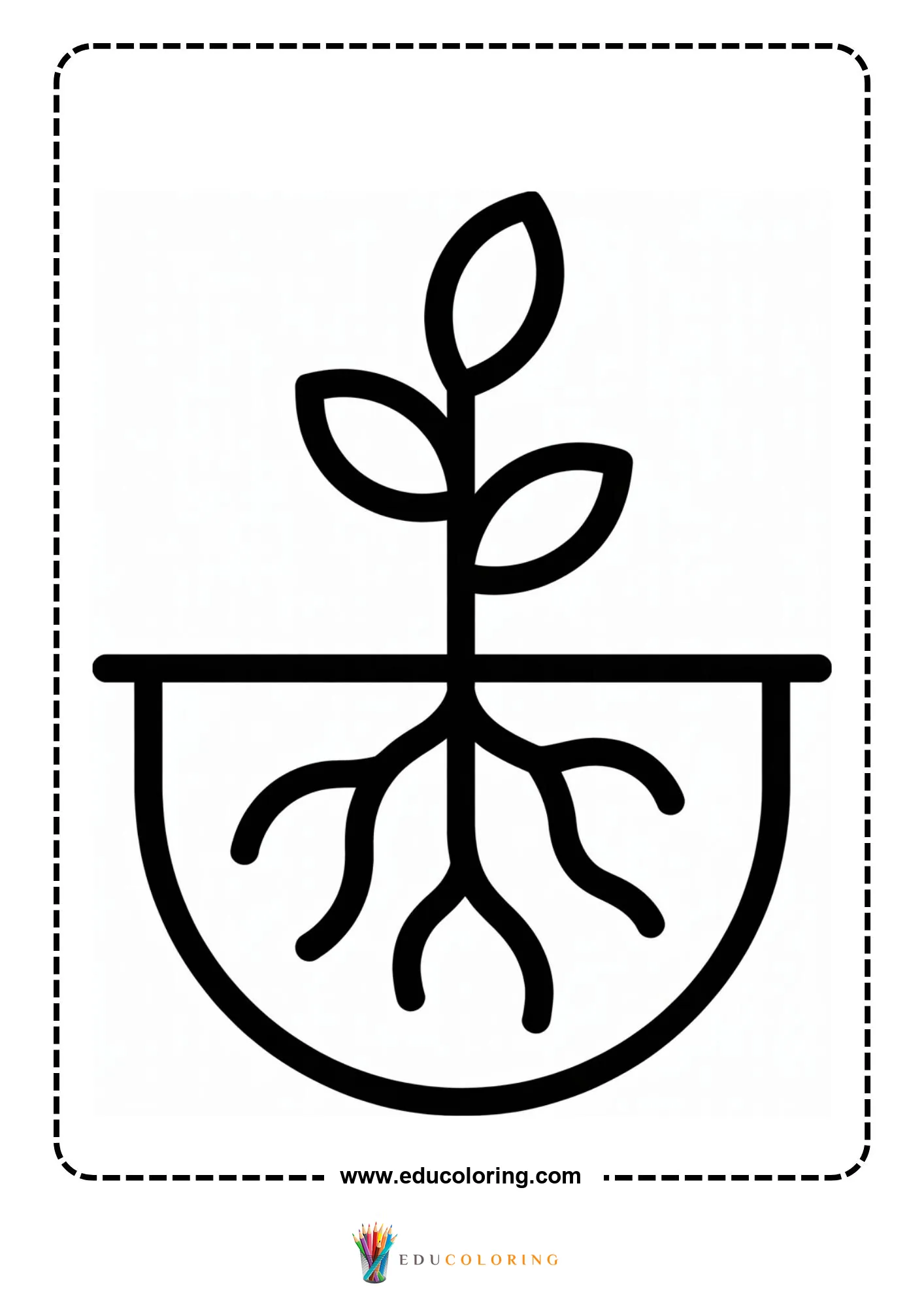Potted sprout with visible roots