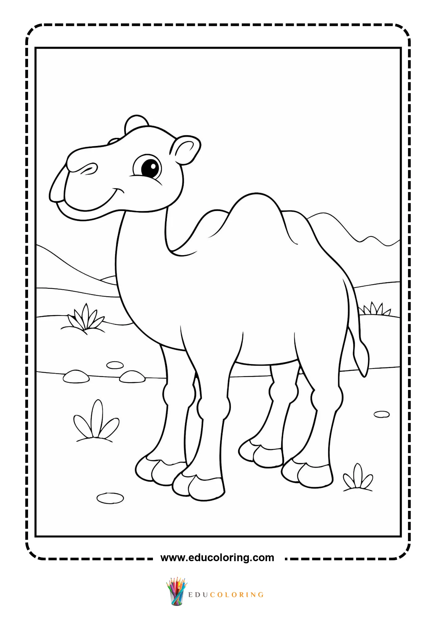 Camel standing in a sandy desert