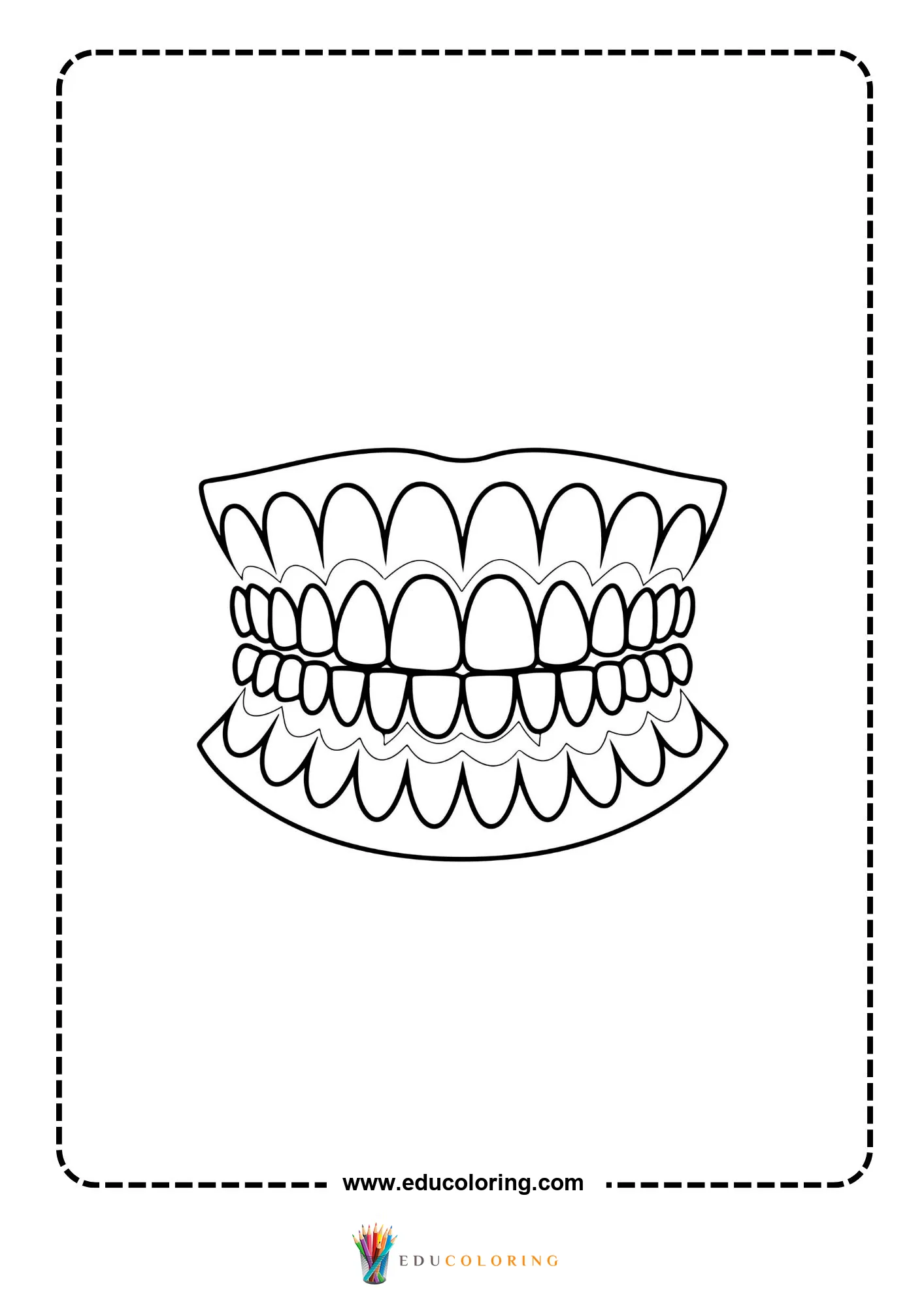 Teeth and gums diagram