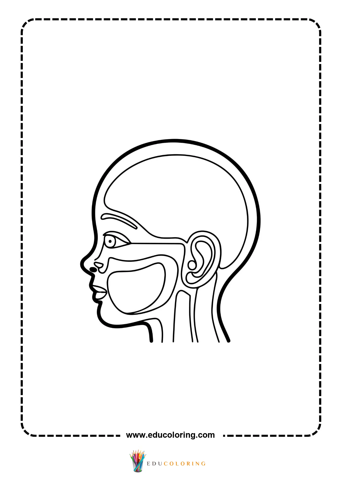 Human head side view