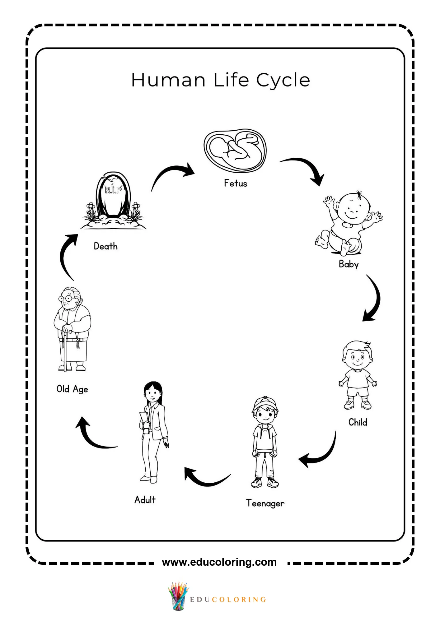 Human life cycle diagram with six stages