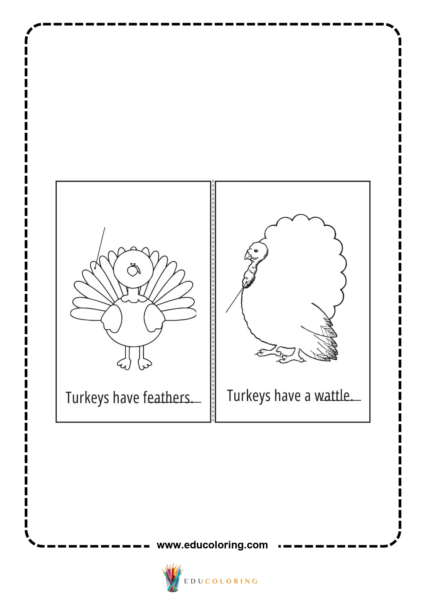 Turkeys have feathers worksheet