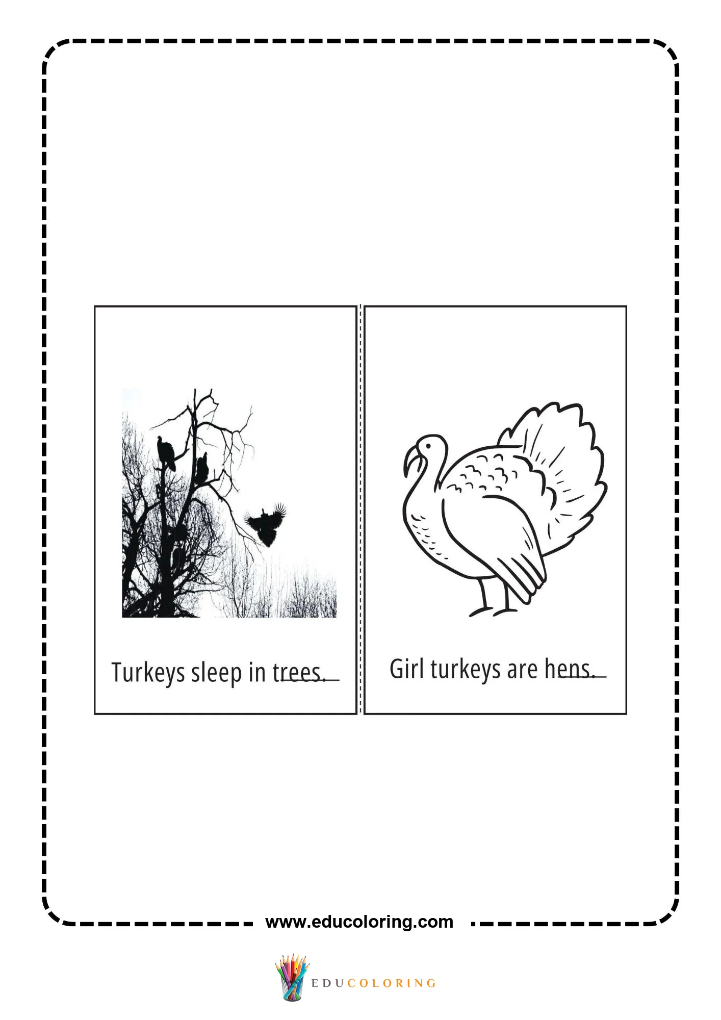 Turkeys sleep in trees worksheet