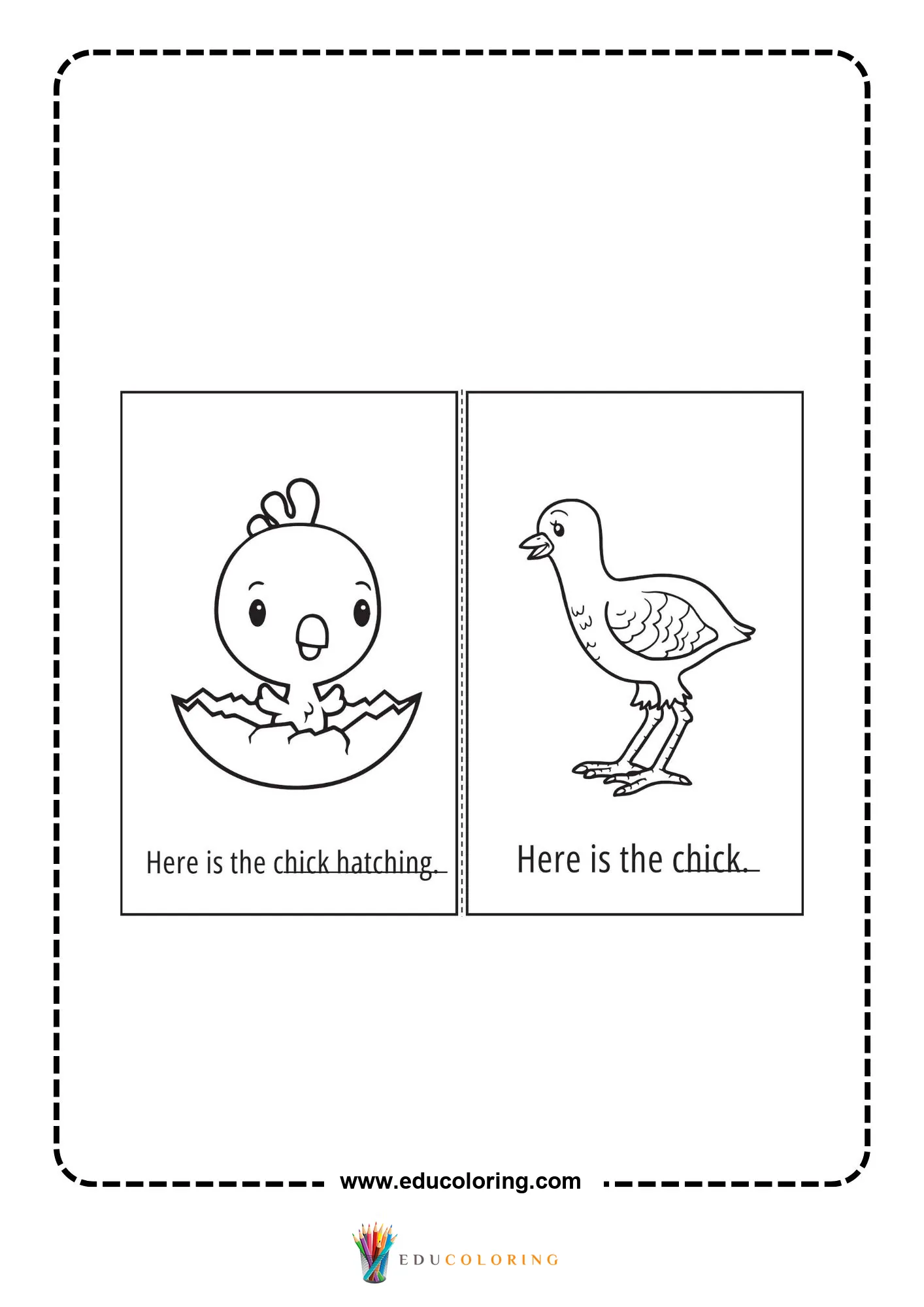 Here is the chick hatching worksheet