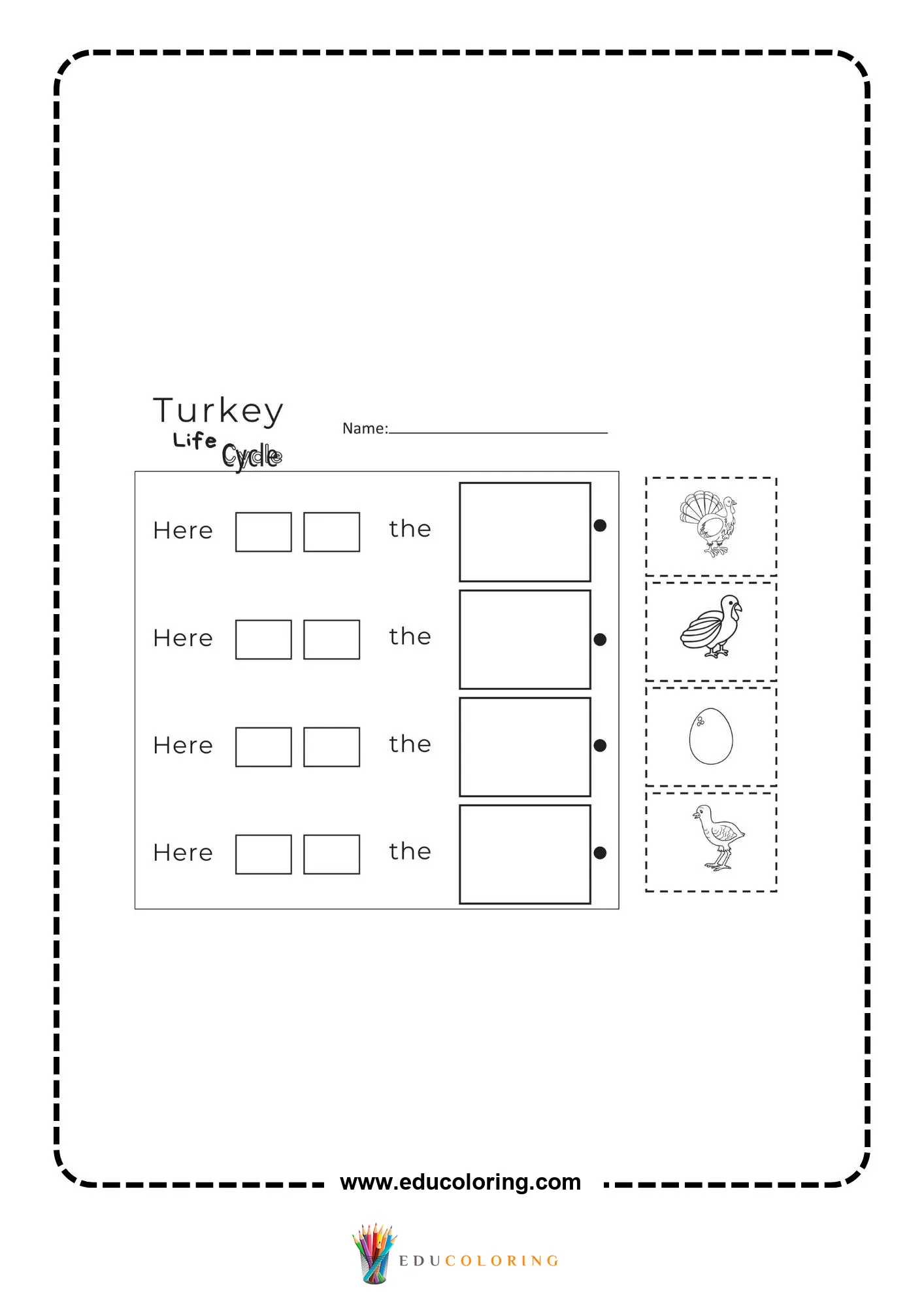 Turkey life cycle cut and paste