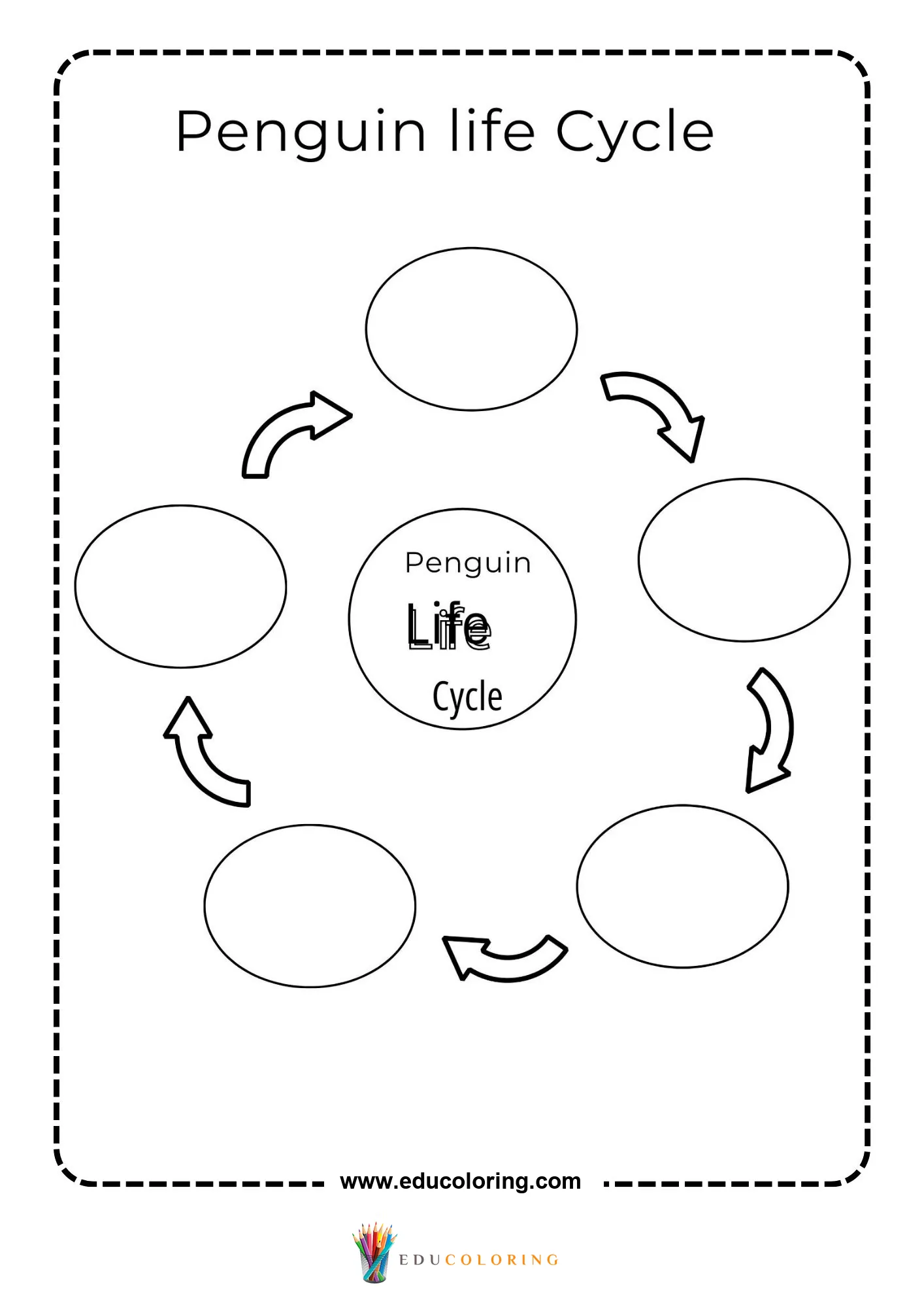 Blank penguin life cycle chart